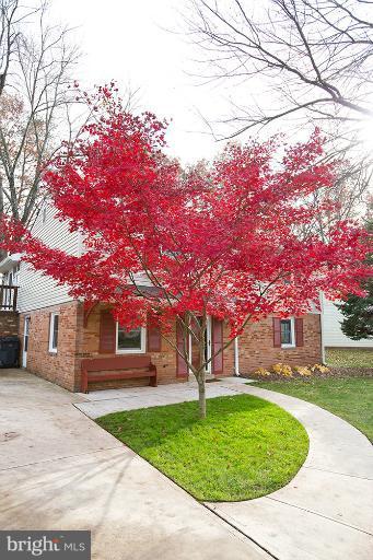 4311 Lees Corner Road Chantilly, VA 20151 - Photo 3 of 30 Front walkway