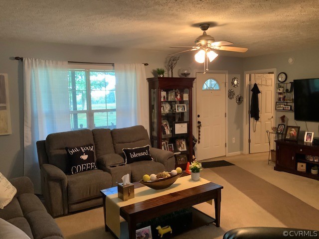 6737 Abilene Road Farmville, VA 23901 - Photo 10 of 46 Gallery Image 10