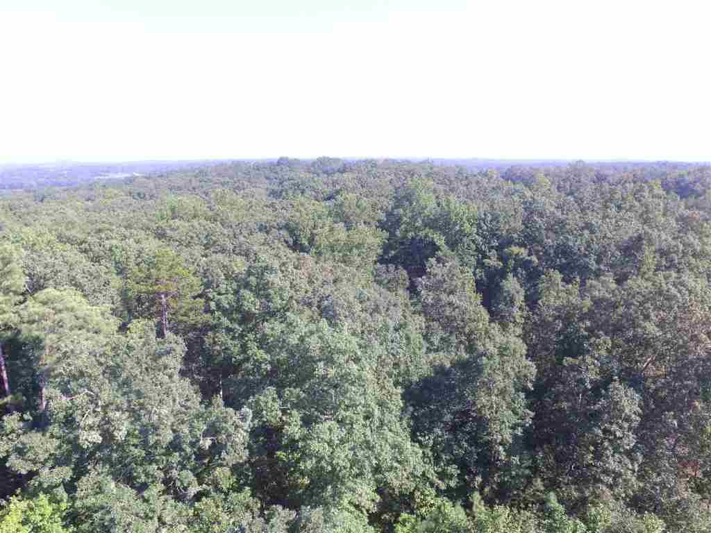 0 Bolding Road Pickens, SC 29671 - Photo 4 of 5