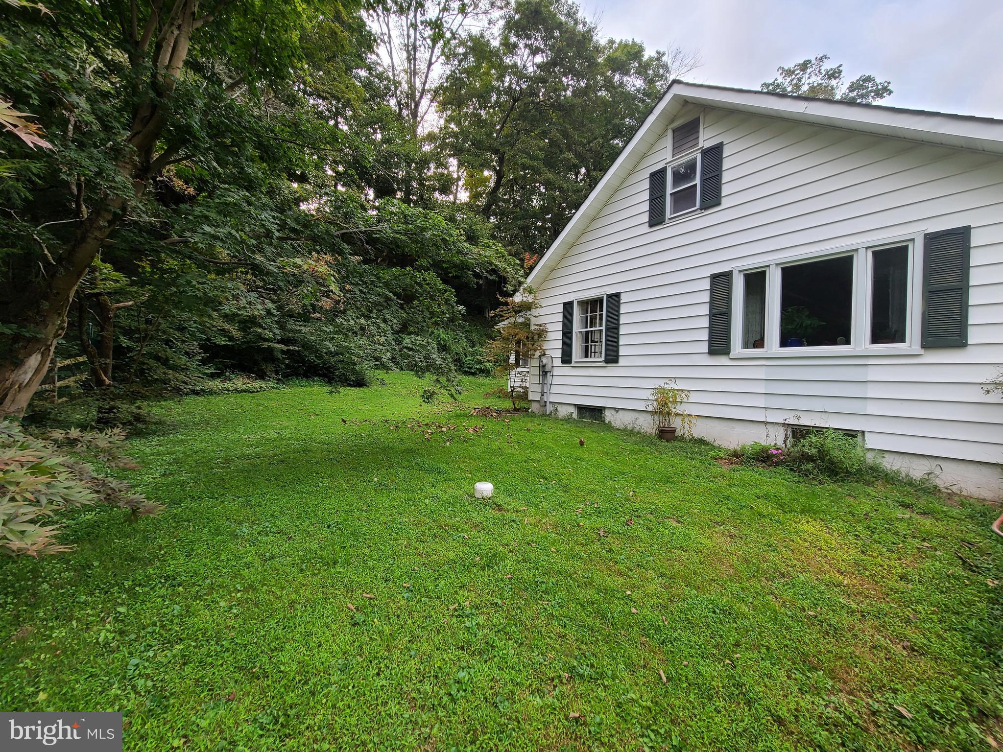 733 River Road Erwinna, PA 18920 - Photo 4 of 16 Gallery Image 4