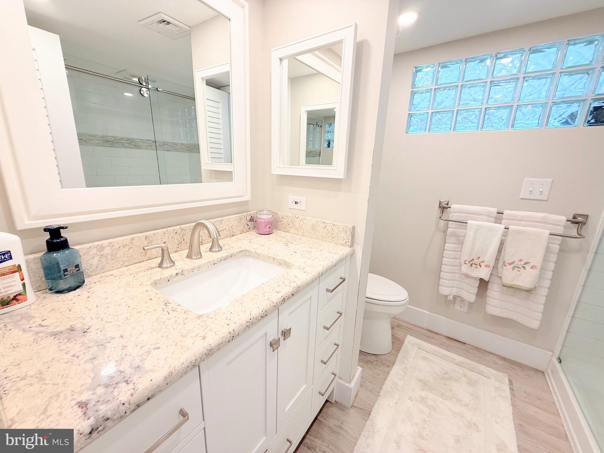 37219 Sandpiper Road, Unit 47 Long Neck, DE 19966 - Photo 38 of 62 a bathroom with a granite countertop sink a toilet a mirror and bathtub