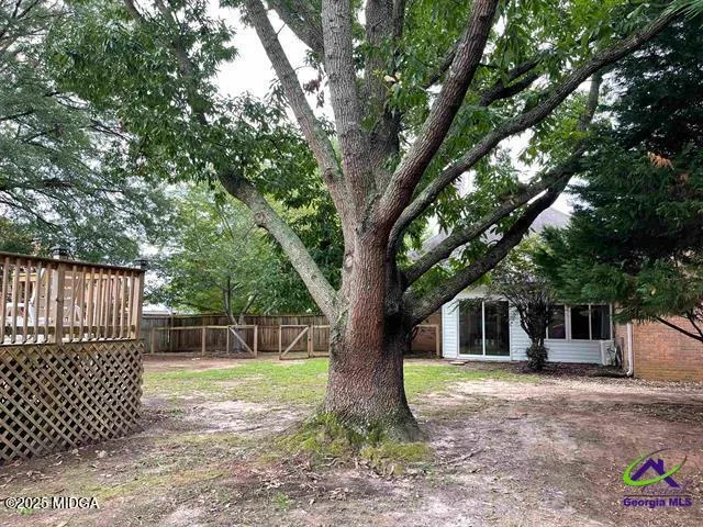 a view of a house with a tree in a yard