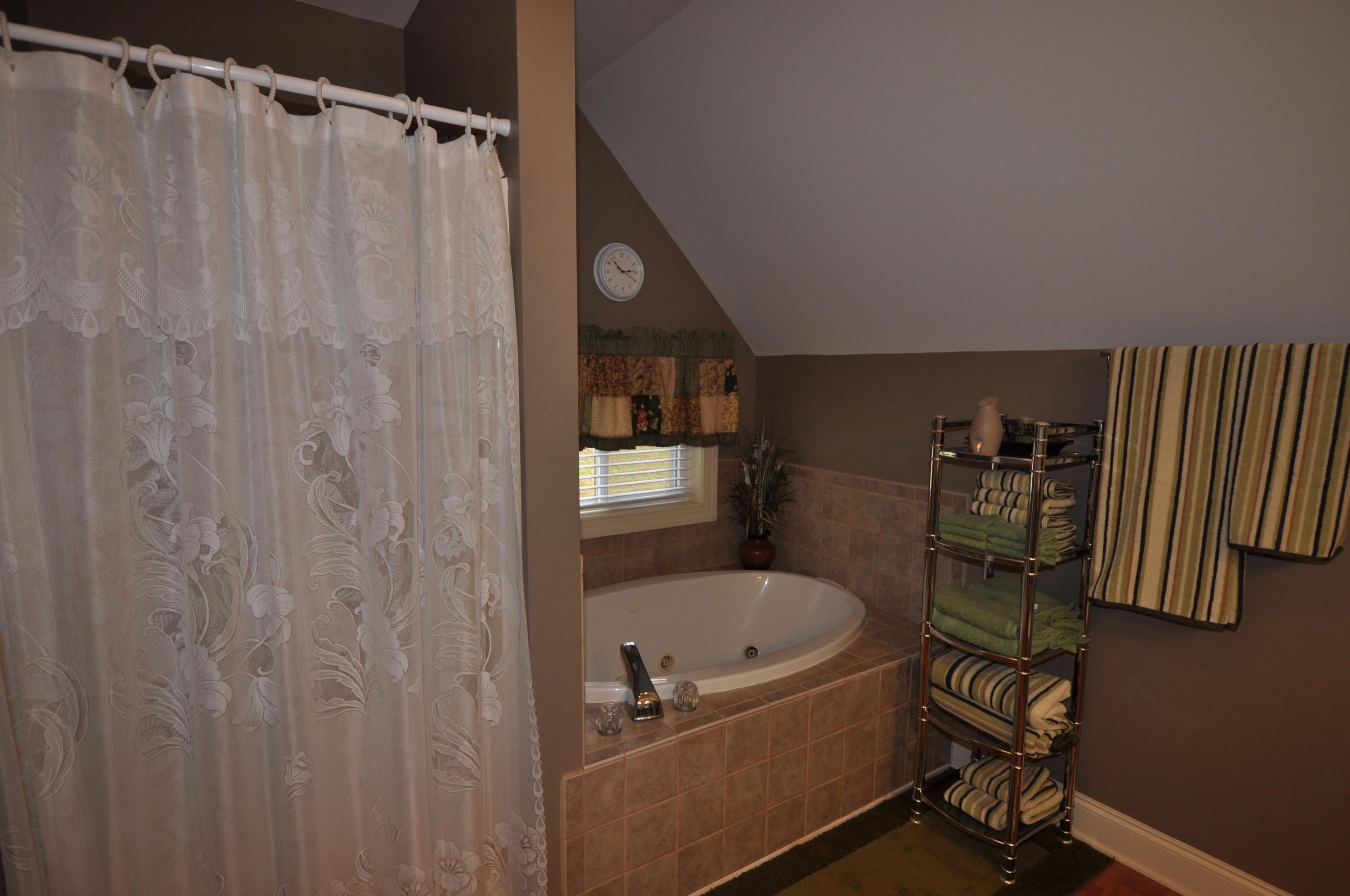 147 Fox Hollow Road Townsend, TN 37882 - Photo 27 of 40 DSC_0467