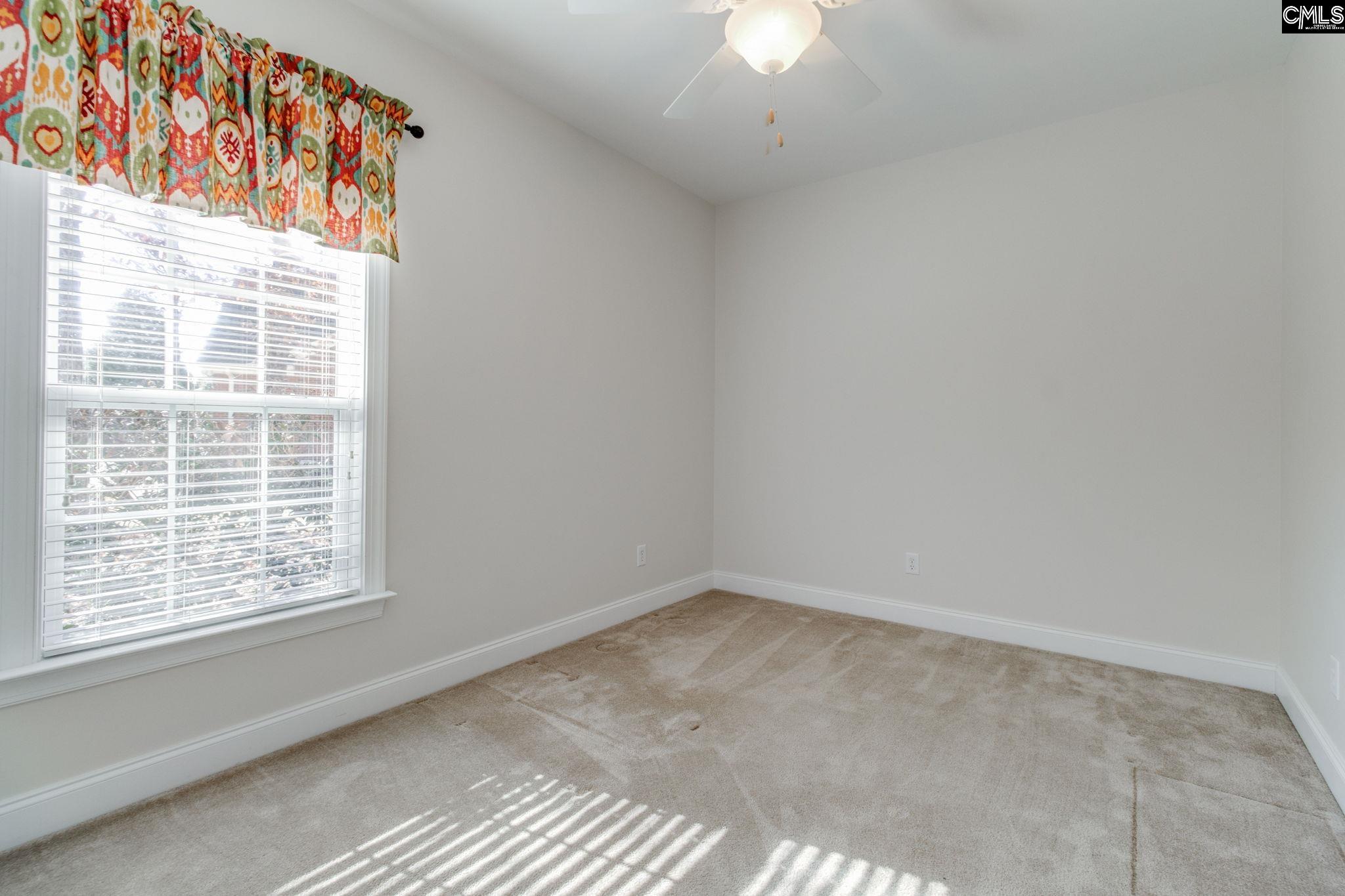 192 Palm Street Chapin, SC 29036 - Photo 27 of 51