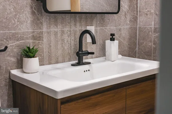 a sink with a potted plant