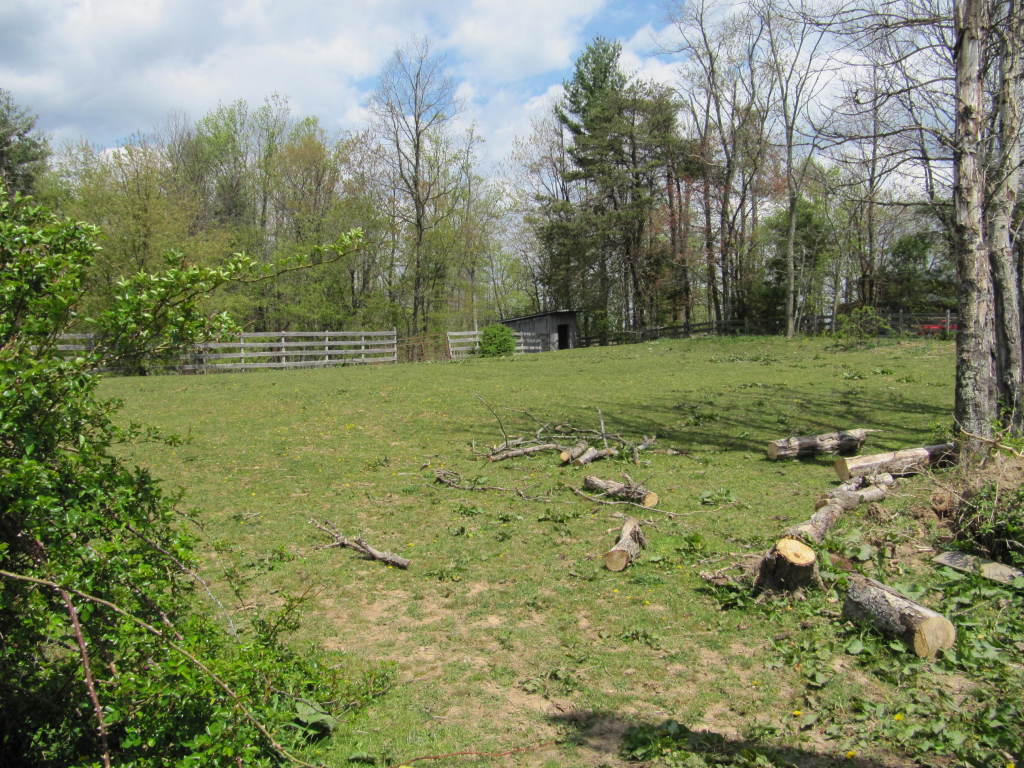1127 Daniels Run Road Northeast Check, VA 24072 - Photo 4 of 20 a view of a field with large trees