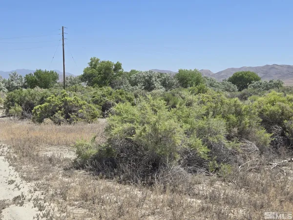 a view of a field