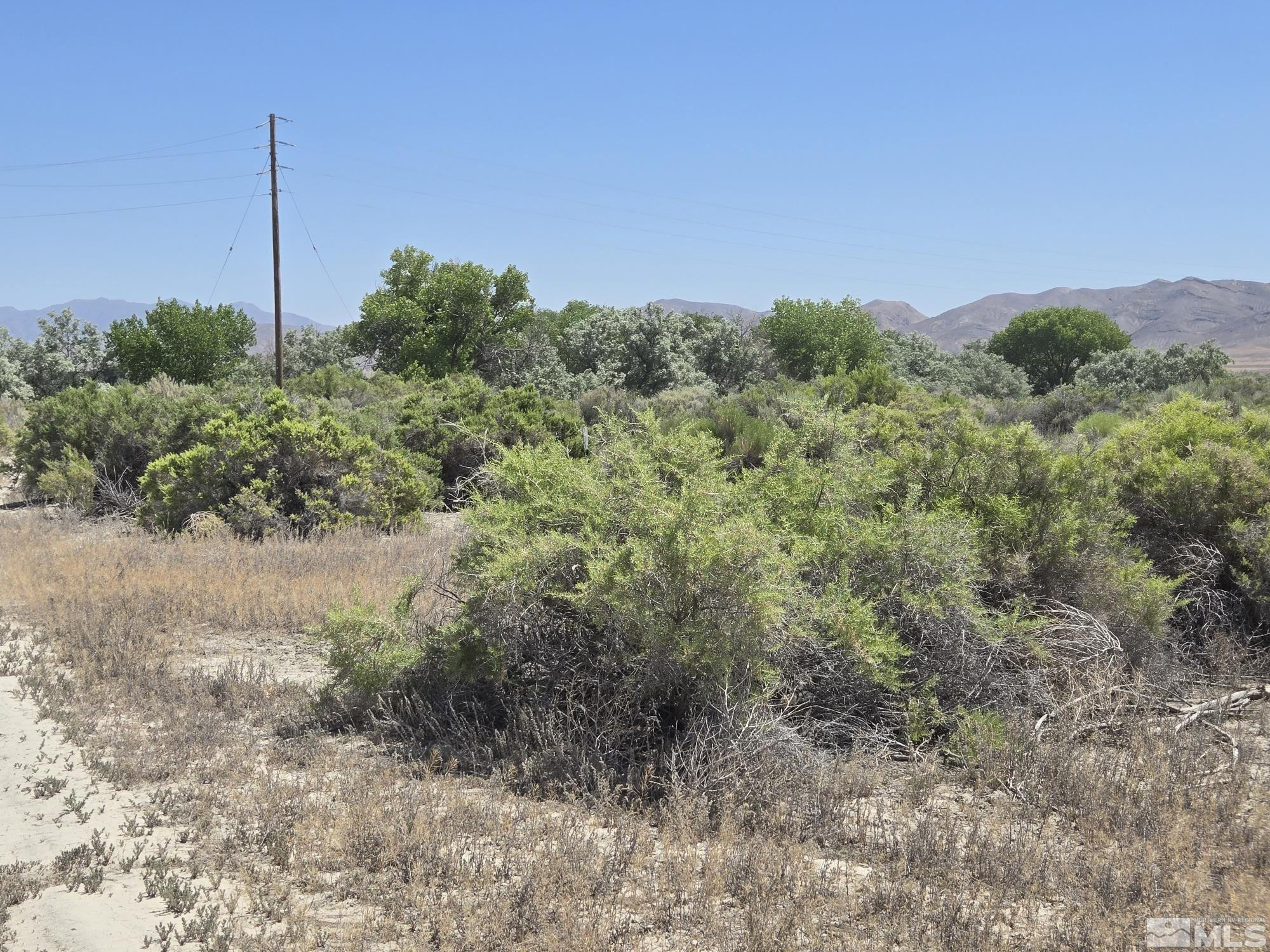 200 Raymond Road Lovelock, NV 89419 - Photo 12 of 18 a view of a field