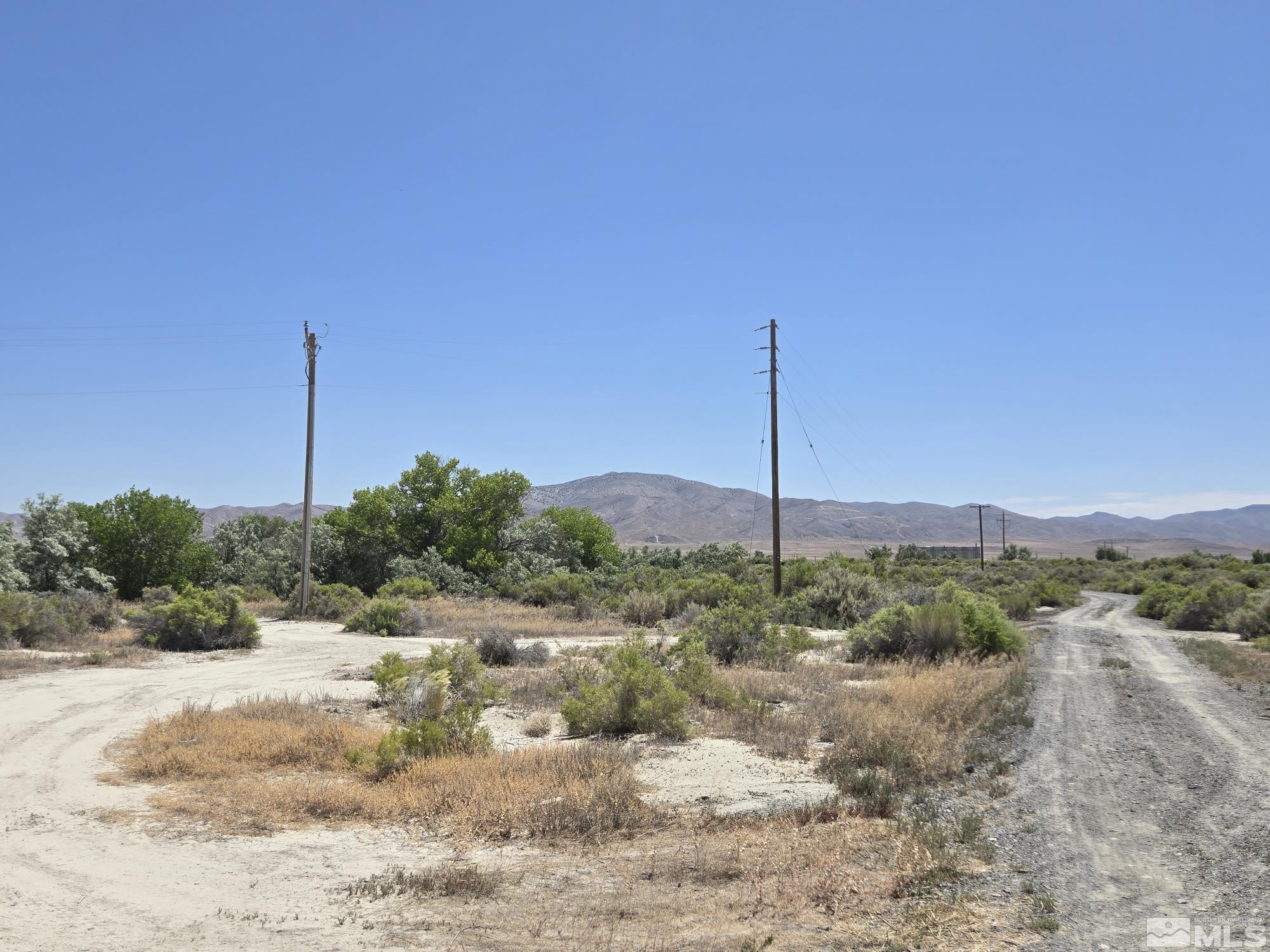 200 Raymond Road Lovelock, NV 89419 - Photo 13 of 18 a view of a field with a tree in the background