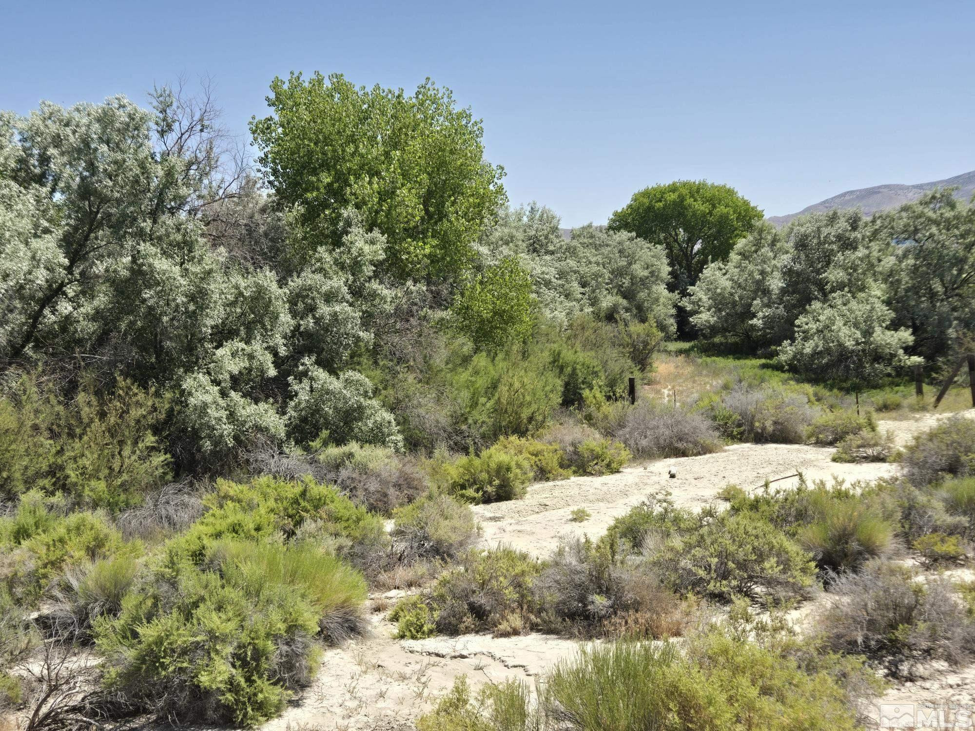 200 Raymond Road Lovelock, NV 89419 - Photo 18 of 18 a view of a yard with a tree