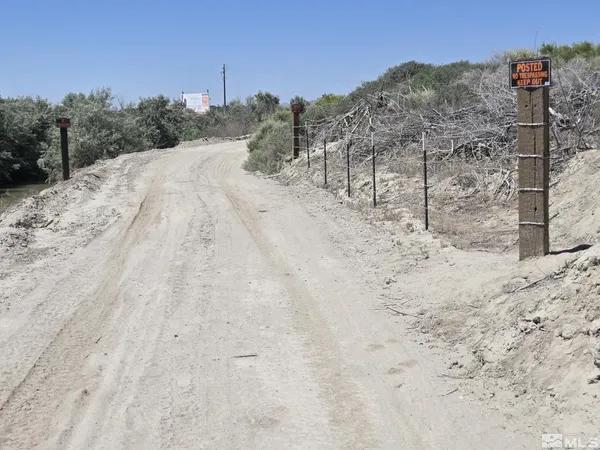 a view of a dry yard with trees