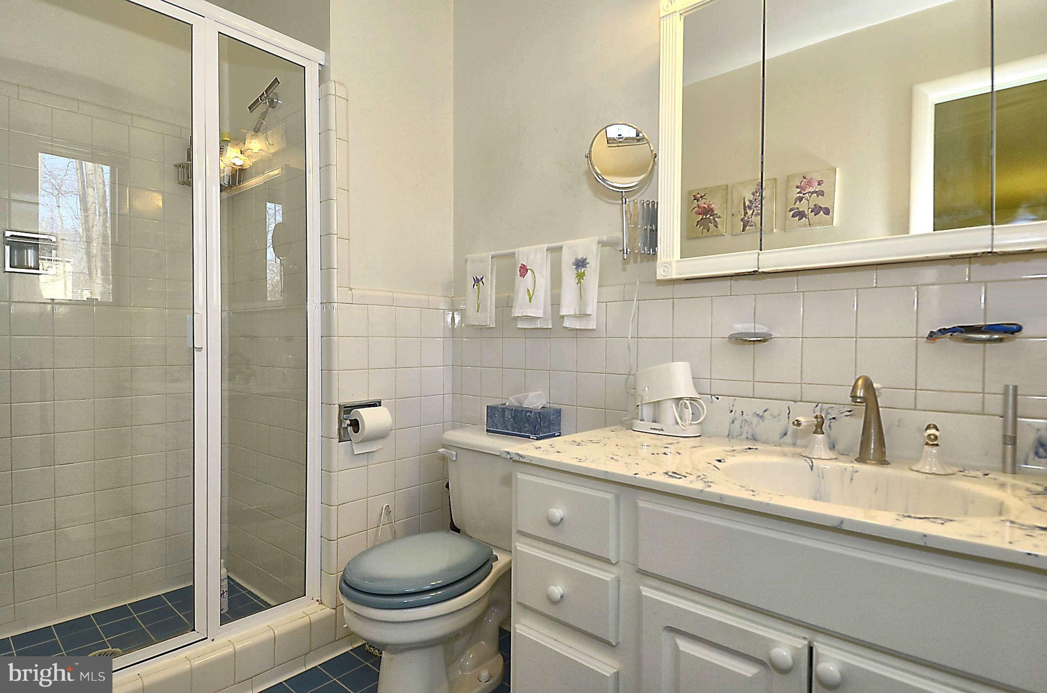 707 Horton Drive Silver Spring, MD 20902 - Photo 15 of 30 Bath Master