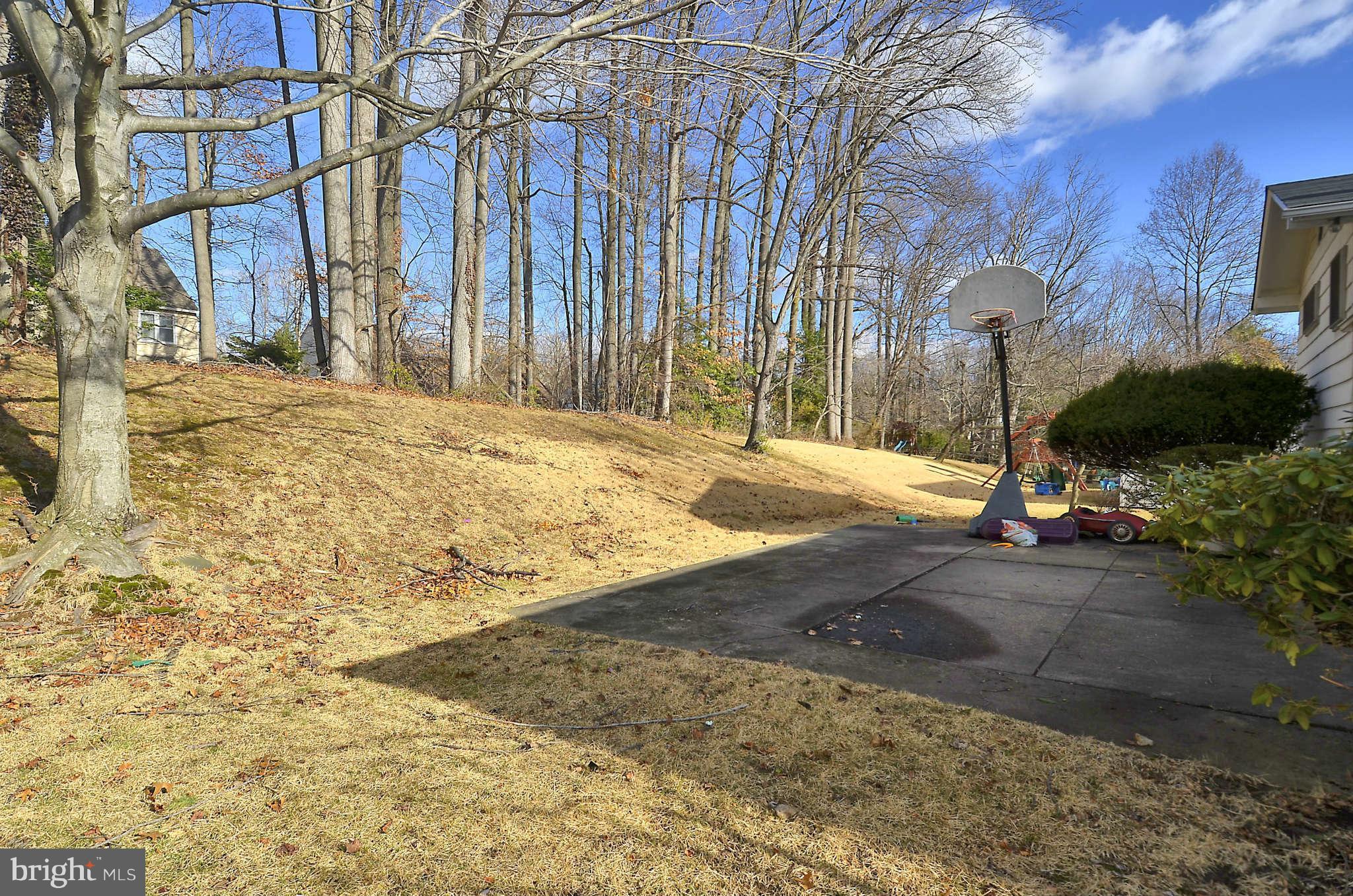 707 Horton Drive Silver Spring, MD 20902 - Photo 28 of 30 View to Back Yard