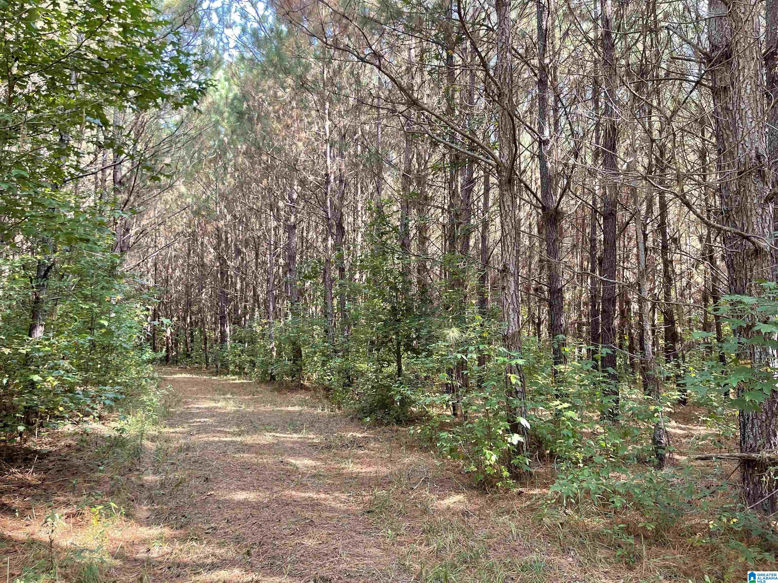 880 Bill Price Road, Unit 40 AC Daviston, AL 36256 - Photo 3 of 7