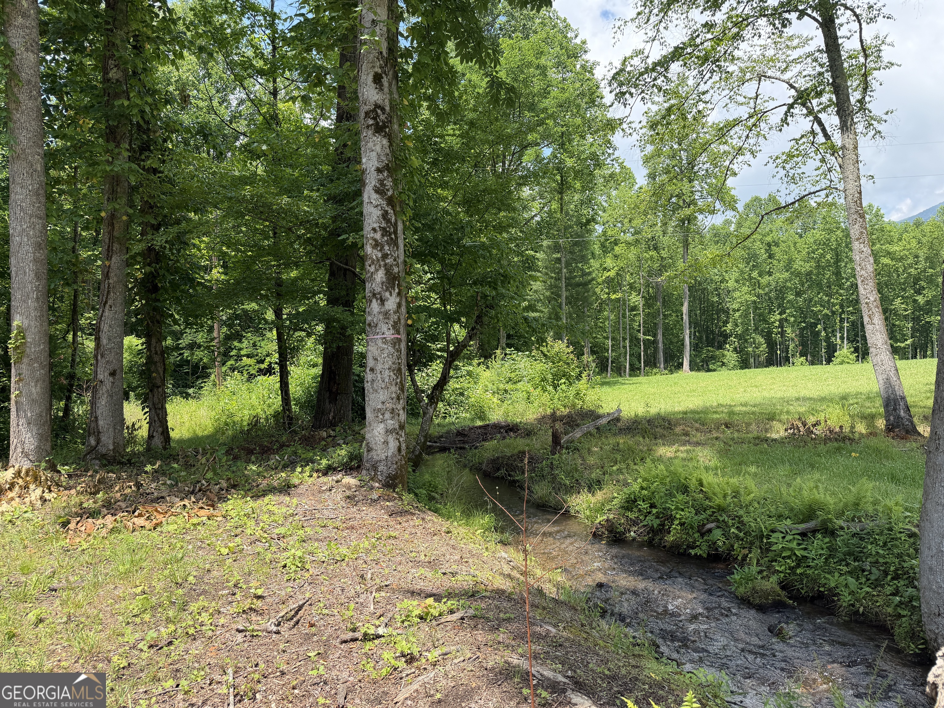 1449 Muskrat Creek Road Hayesville, NC 28904 - Photo 59 of 95