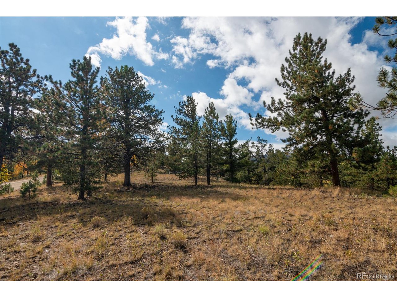 3480 Singletree Road Hartsel, CO 80449 - Photo 48 of 50 Nicely Treed Lot