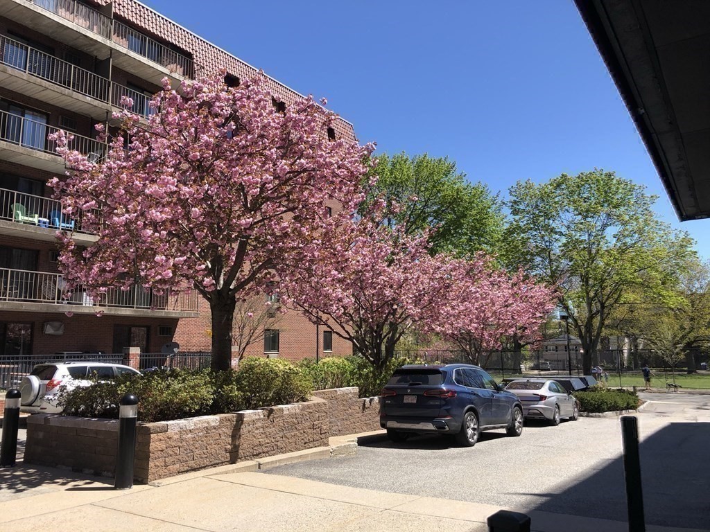 135 Pleasant Street, Unit 308 Brookline, MA 02446 - Photo 11 of 18