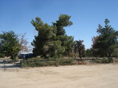 10476 Eaby Road Phelan, CA 92371 - Photo 1 of 1 Gallery Image 1