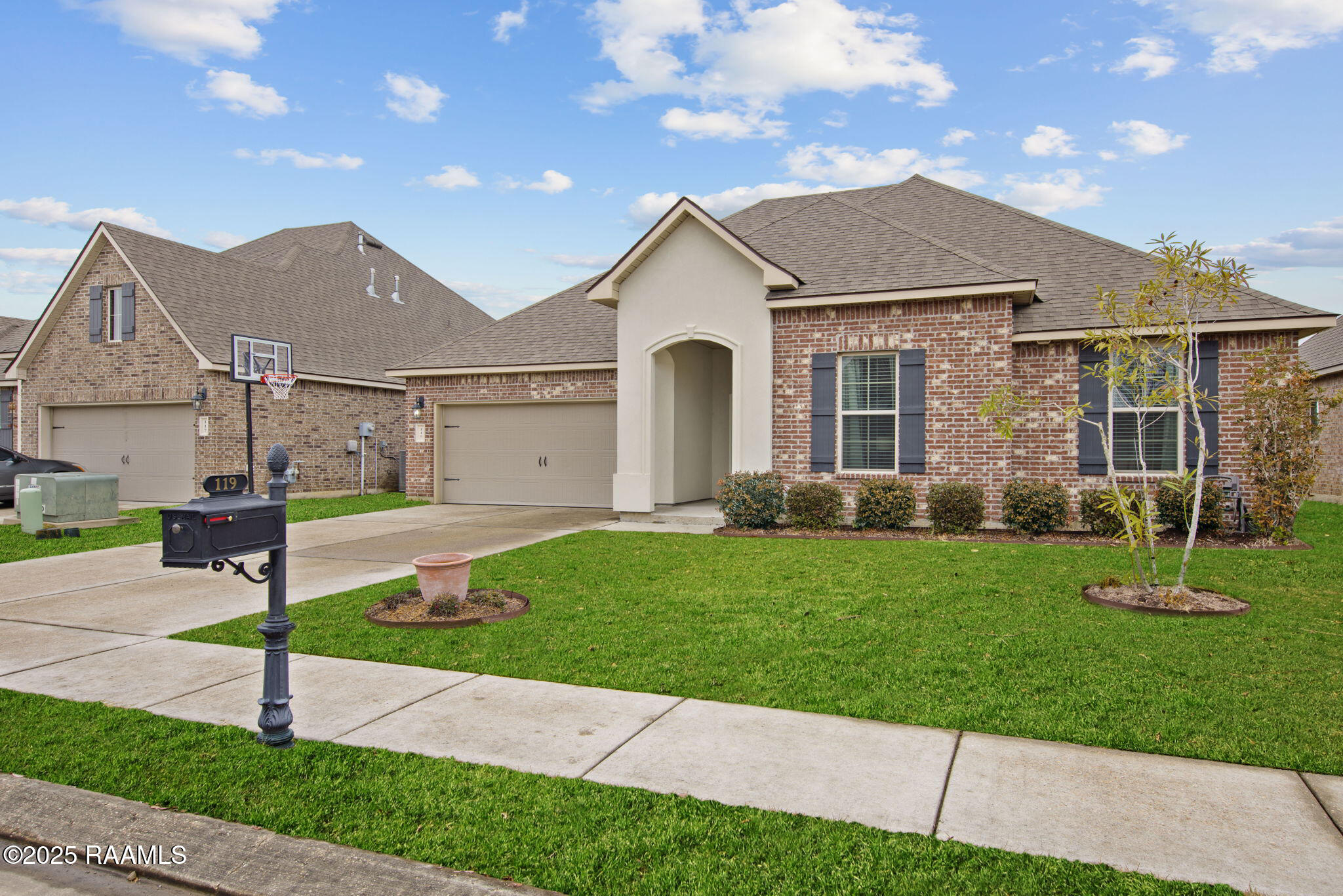 revisedfront_tortise