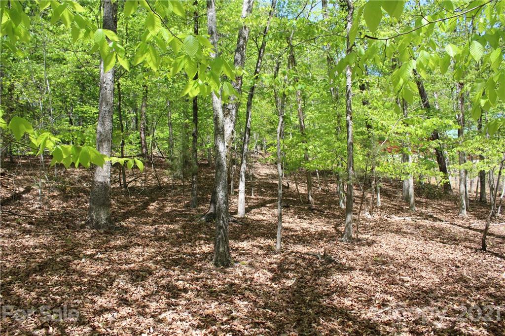 369 Mallard Road Lake Lure, NC 28746 - Photo 11 of 47 Gallery Image 11