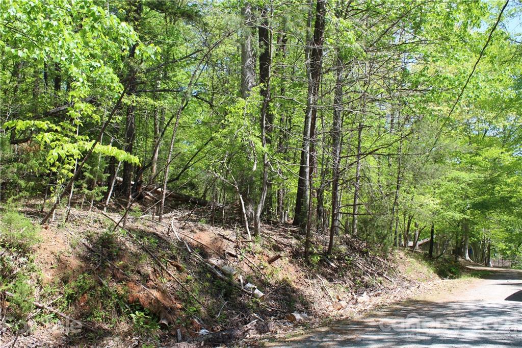 369 Mallard Road Lake Lure, NC 28746 - Photo 13 of 47 Gallery Image 13
