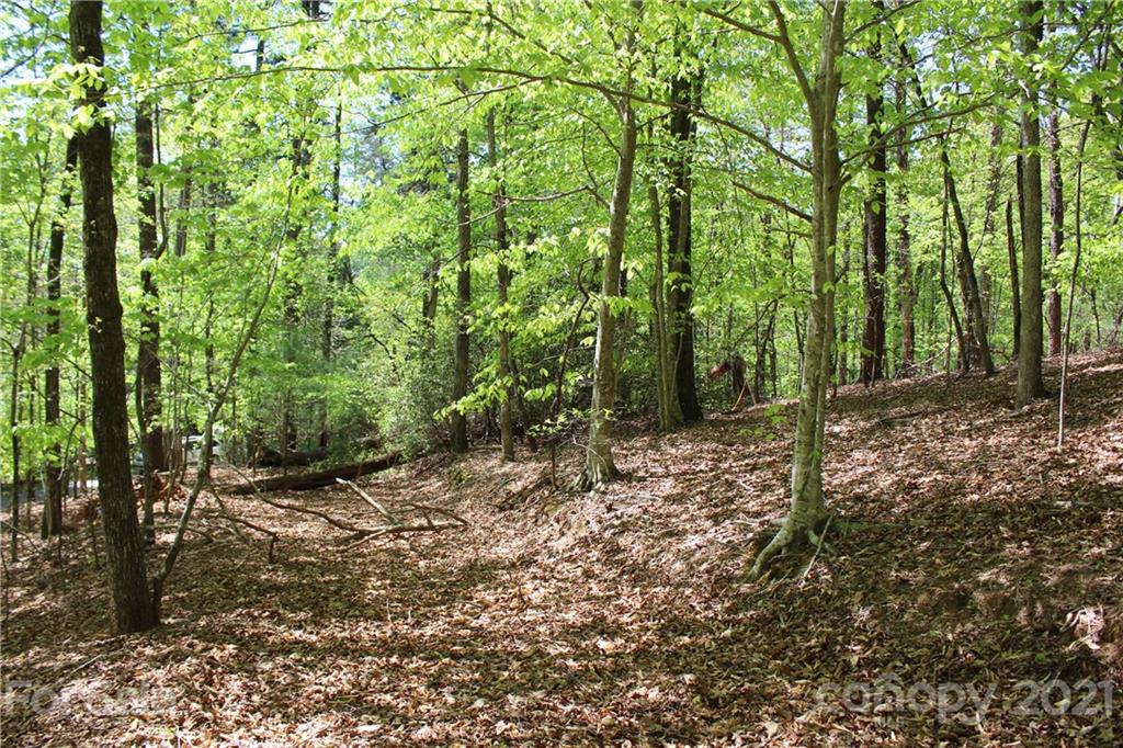 369 Mallard Road Lake Lure, NC 28746 - Photo 15 of 47 Gallery Image 15