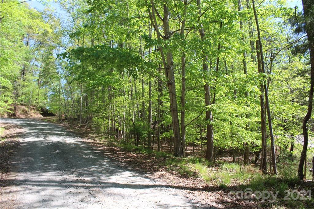 369 Mallard Road Lake Lure, NC 28746 - Photo 16 of 47 Gallery Image 16