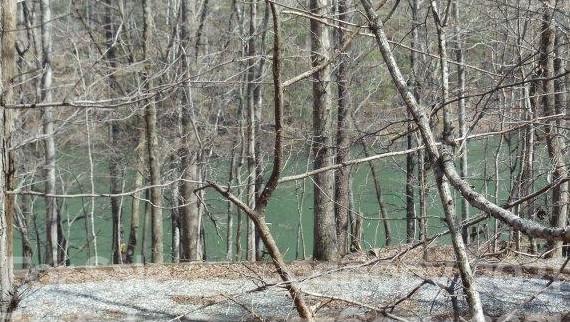 369 Mallard Road Lake Lure, NC 28746 - Photo 18 of 47 Gallery Image 18
