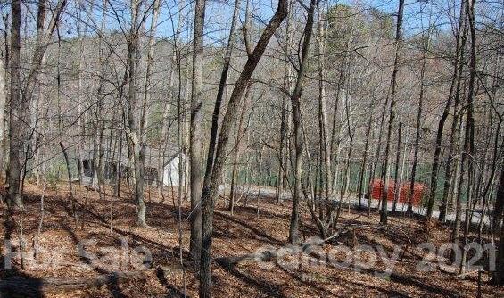 369 Mallard Road Lake Lure, NC 28746 - Photo 19 of 47 Gallery Image 19