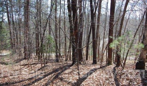 369 Mallard Road Lake Lure, NC 28746 - Photo 21 of 47 Gallery Image 21