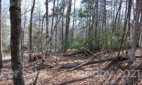 369 Mallard Road Lake Lure, NC 28746 - Photo 22 of 47 Gallery Image 22