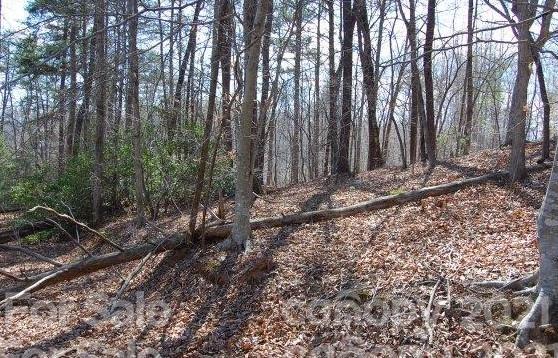 369 Mallard Road Lake Lure, NC 28746 - Photo 23 of 47 Gallery Image 23