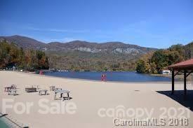 369 Mallard Road Lake Lure, NC 28746 - Photo 42 of 47 Gallery Image 42