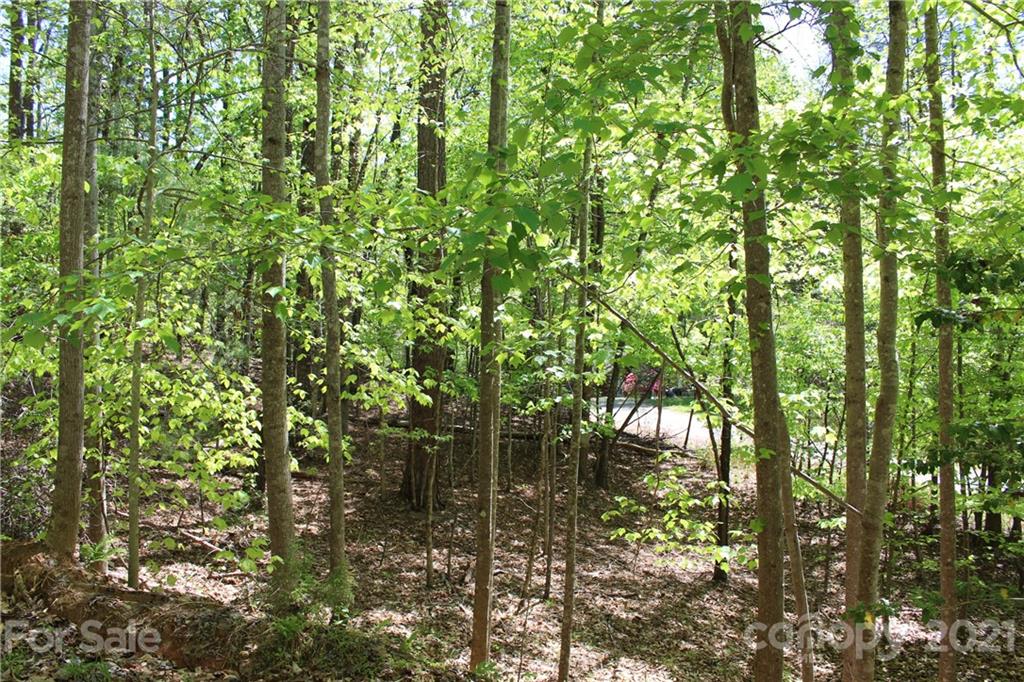 369 Mallard Road Lake Lure, NC 28746 - Photo 8 of 47 Gallery Image 8