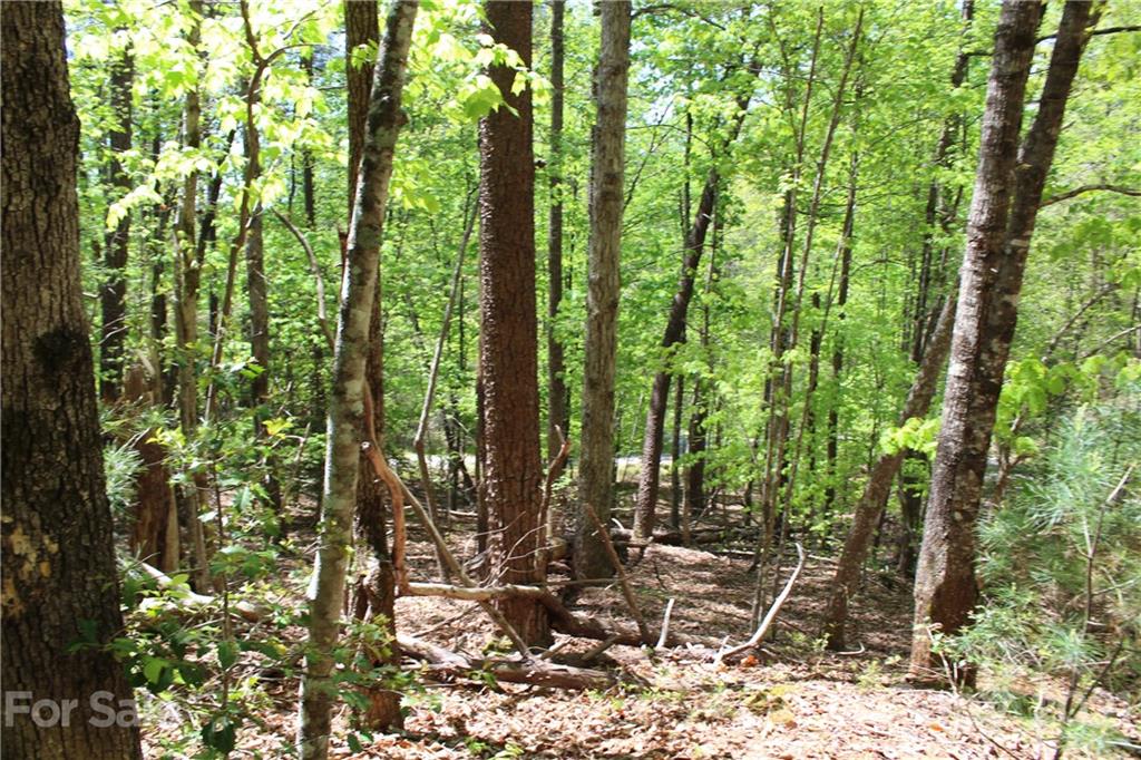 369 Mallard Road Lake Lure, NC 28746 - Photo 10 of 47 Gallery Image 10