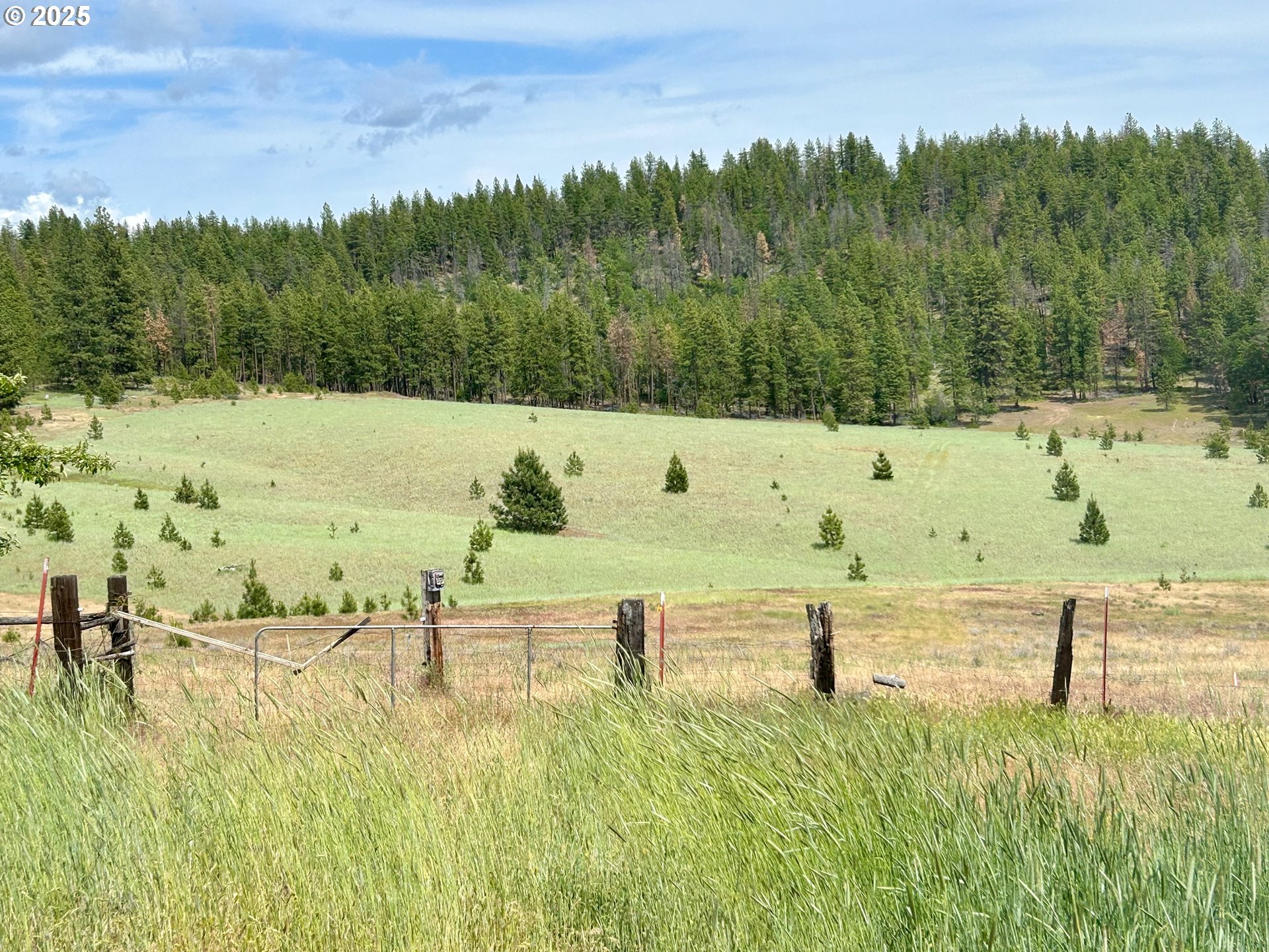 498 Turkey Ranch Road Goldendale, WA 98620 - Photo 15 of 18 Gallery Image 15