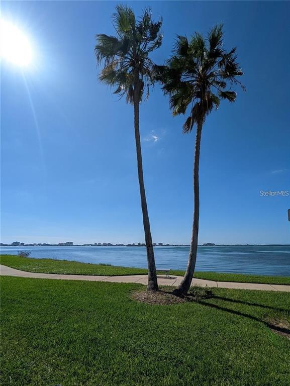 1920 Springtime Avenue Clearwater, FL 33755 - Photo 19 of 27