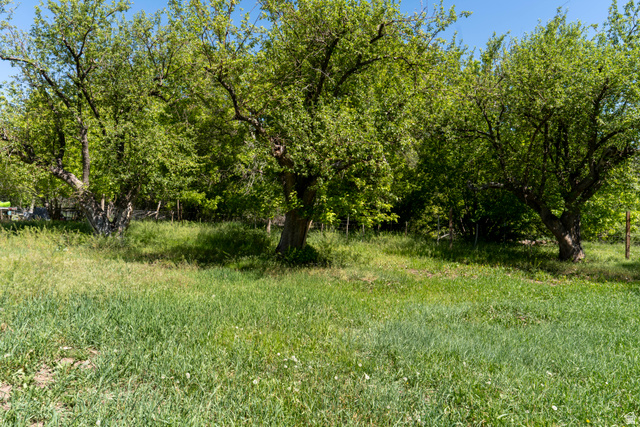 6603 North 6500th West Vernal, UT 84078 - Photo 81 of 91