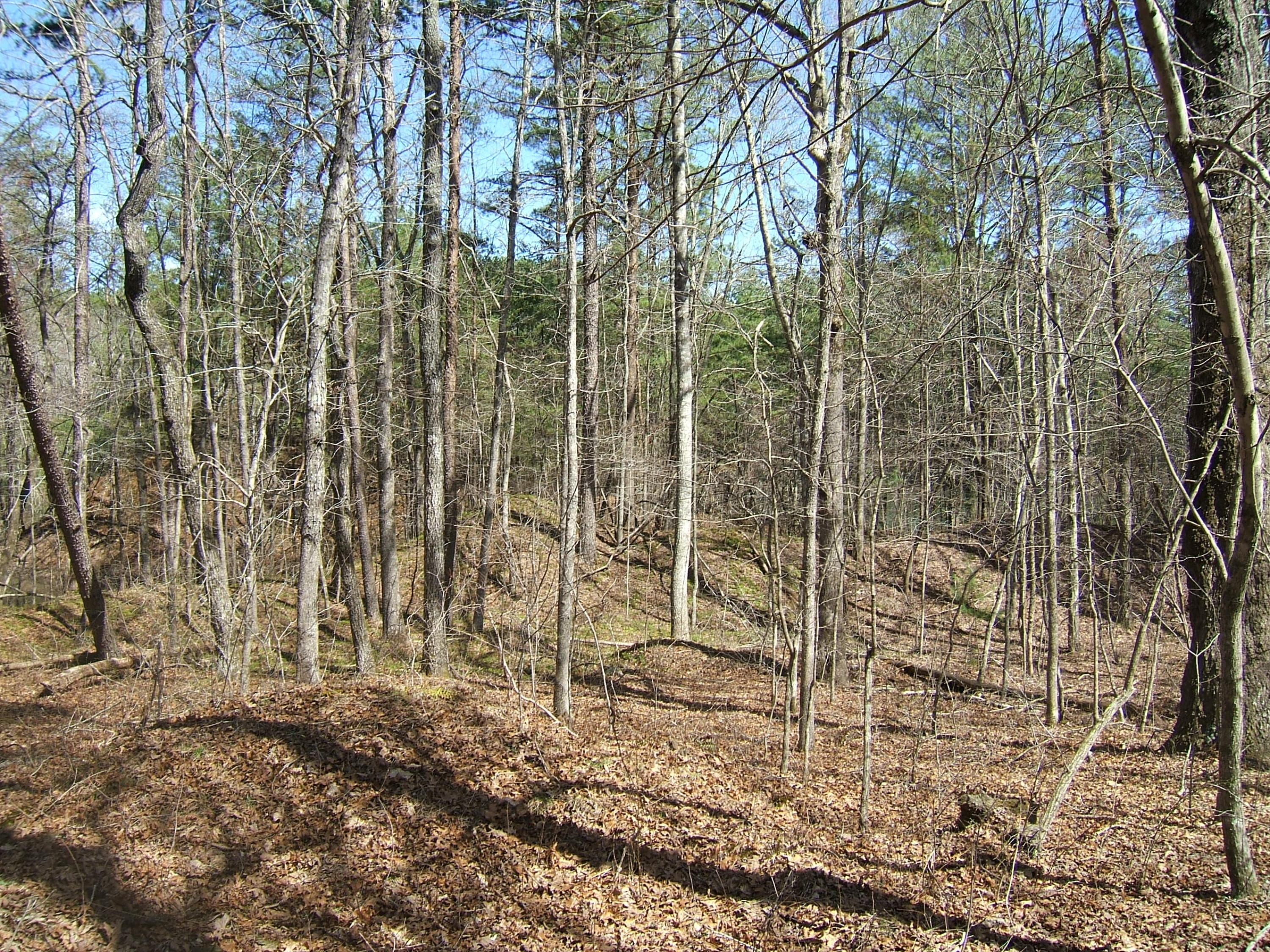 11 Fernhill Road, Unit 11 Pikeville, TN 37367 - Photo 11 of 17 McKleroy lot 3-16-2016 007