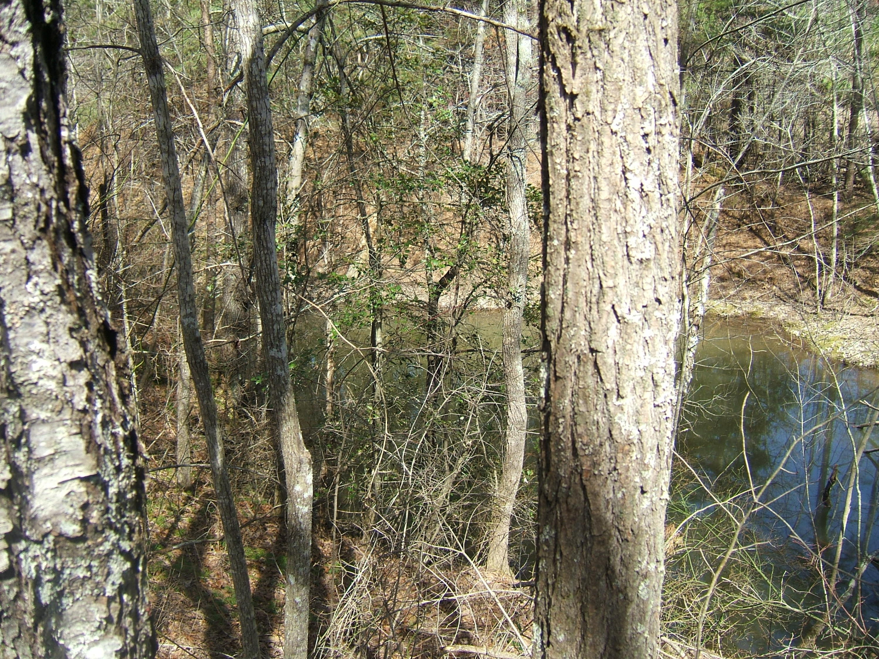 11 Fernhill Road, Unit 11 Pikeville, TN 37367 - Photo 13 of 17 McKleroy lot 3-16-2016 009