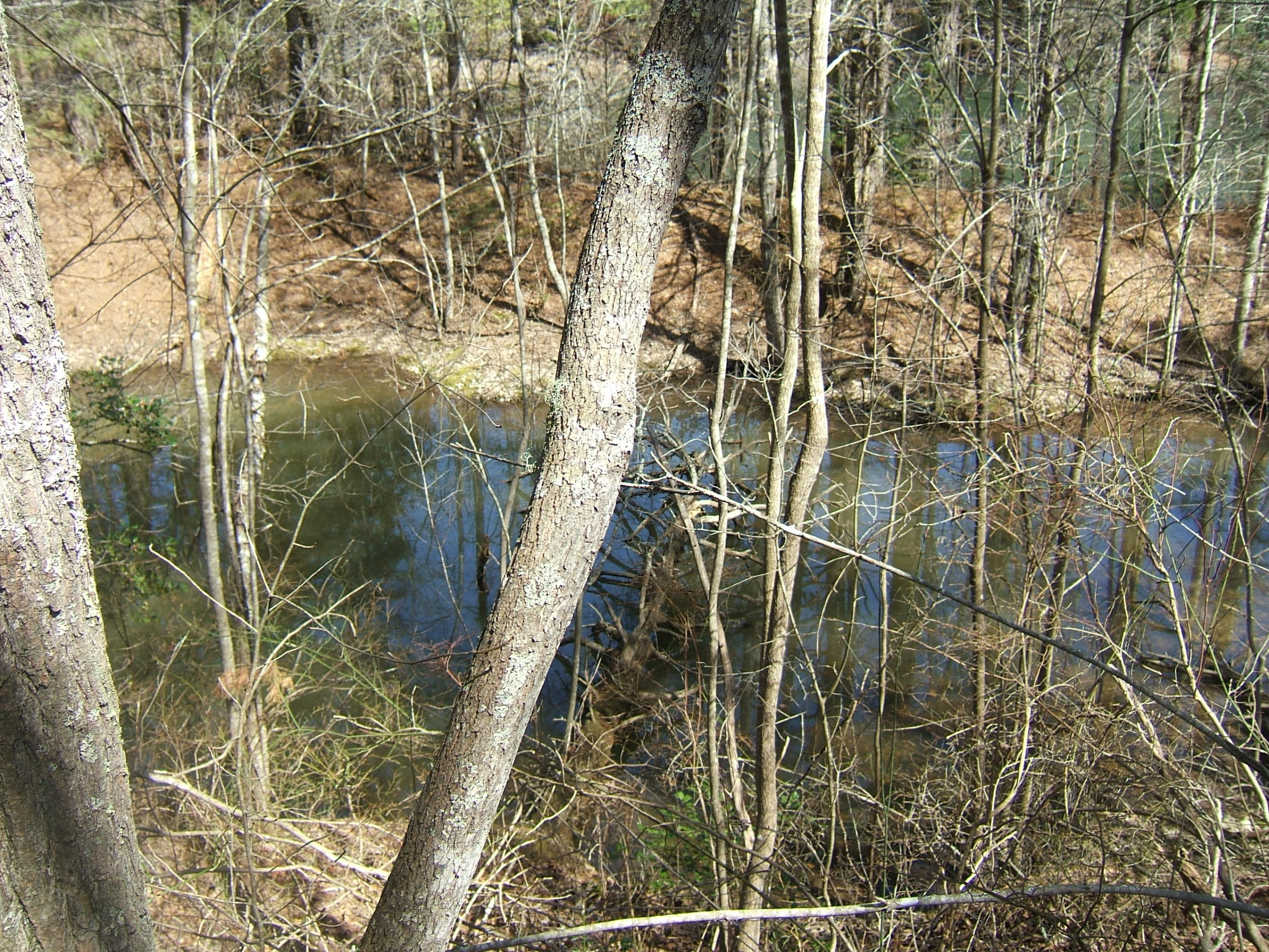 11 Fernhill Road, Unit 11 Pikeville, TN 37367 - Photo 14 of 17 McKleroy lot 3-16-2016 010