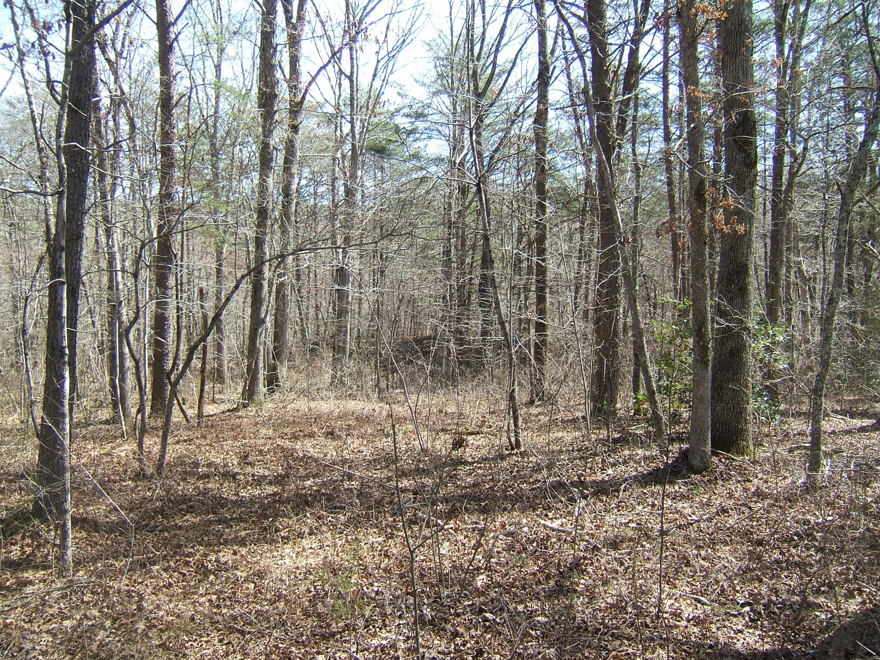 11 Fernhill Road, Unit 11 Pikeville, TN 37367 - Photo 10 of 17 McKleroy lot 3-16-2016 006