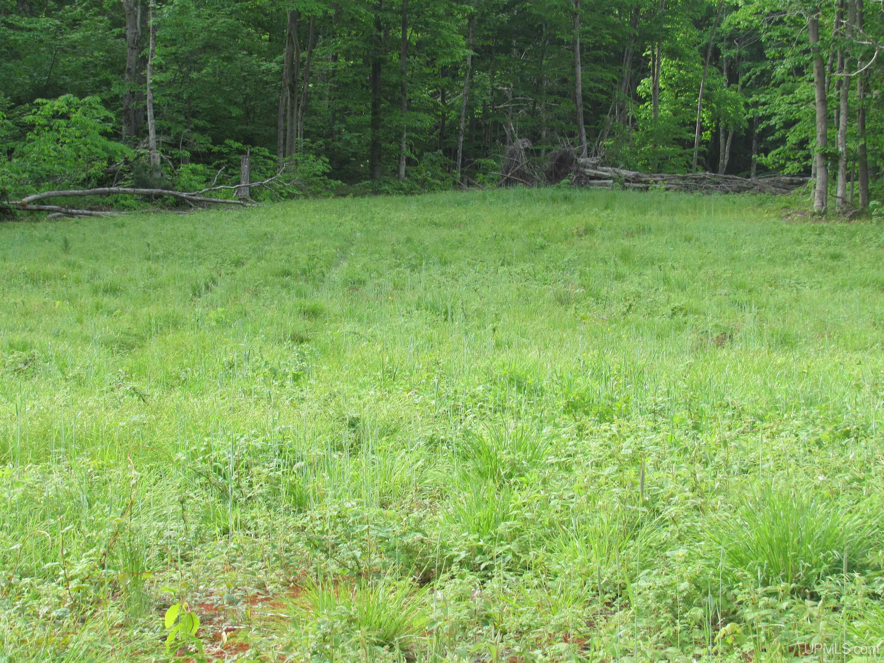Tbd Tbd Sigan Camp Road Seney, MI 49883 - Photo 25 of 41