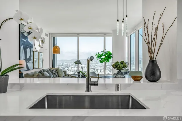 a view of a kitchen with a sink and a potted plant