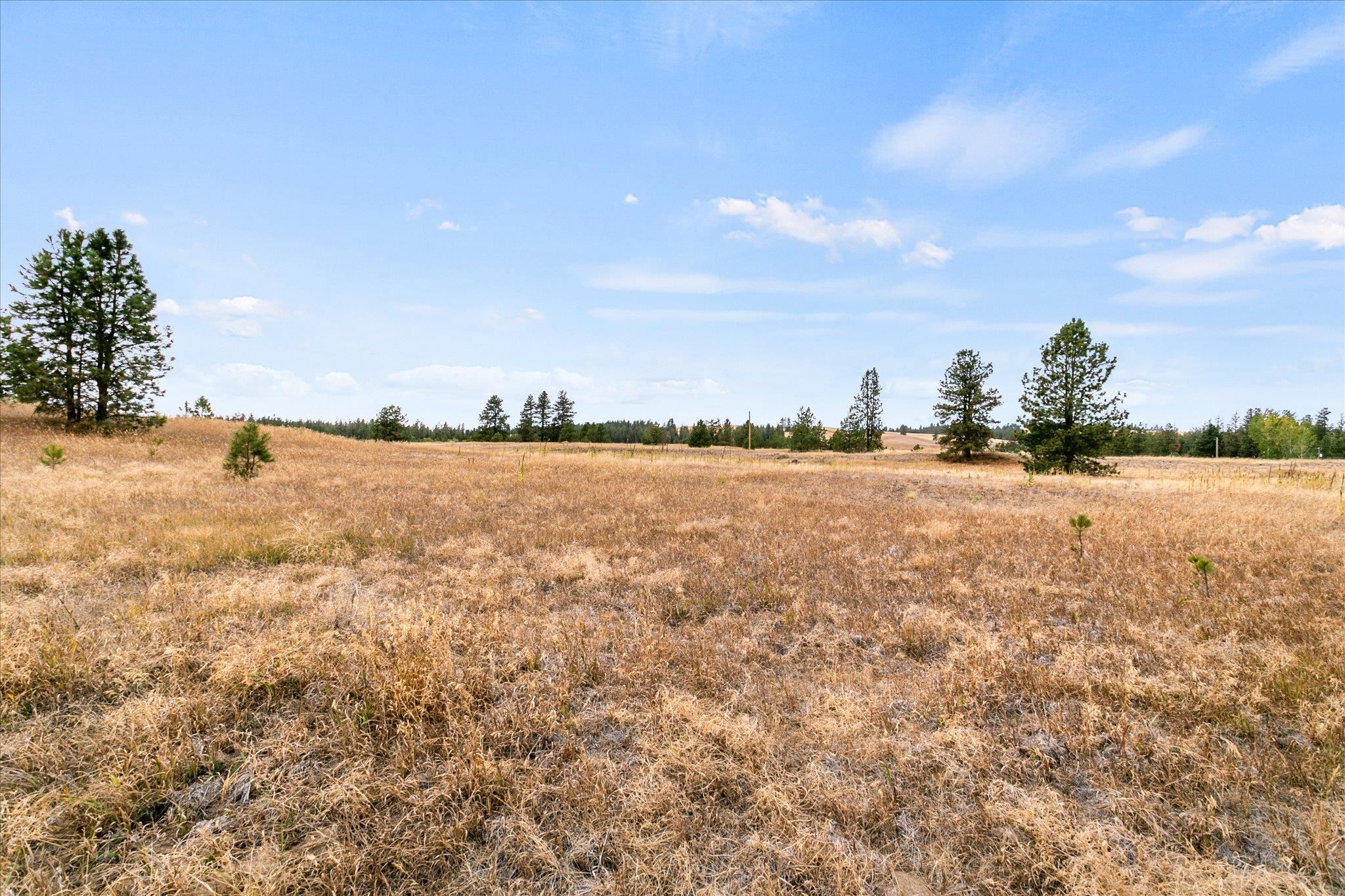 24801 West Kitt Road Reardan, WA 99029 - Photo 20 of 25 Gallery Image 20