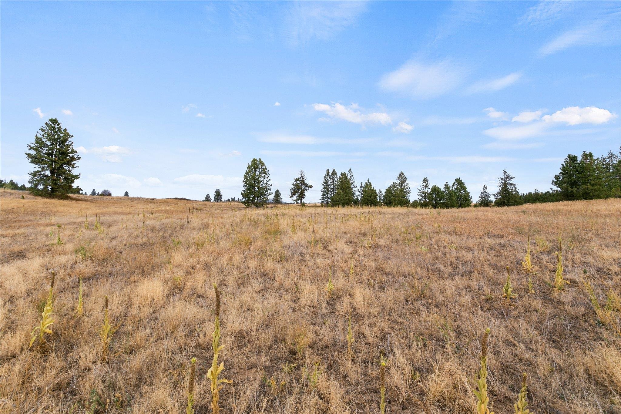 24801 West Kitt Road Reardan, WA 99029 - Photo 21 of 25 Gallery Image 21
