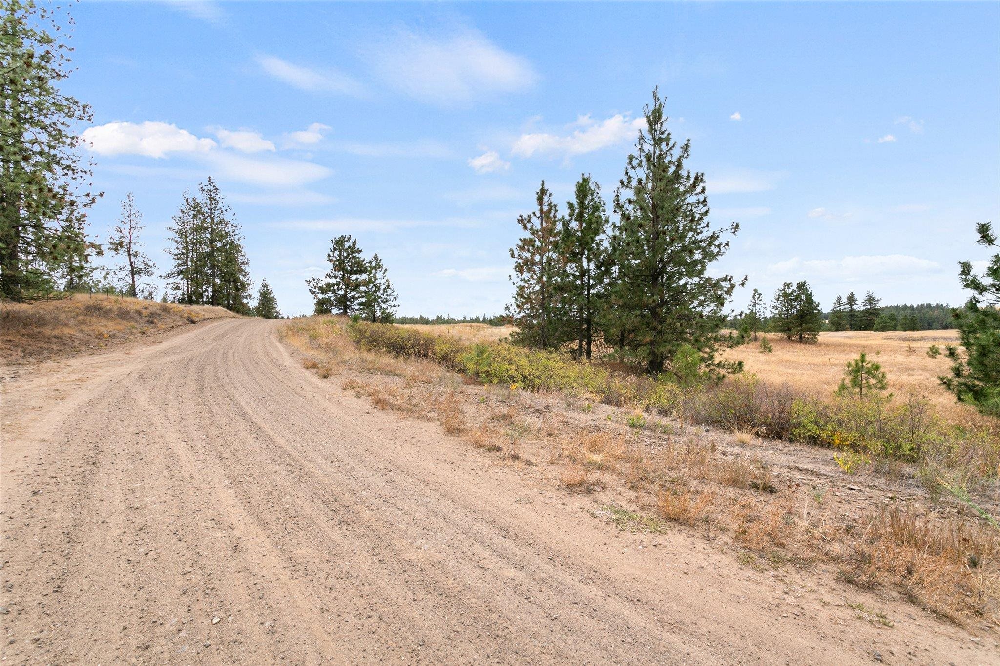 24801 West Kitt Road Reardan, WA 99029 - Photo 22 of 25 Gallery Image 22