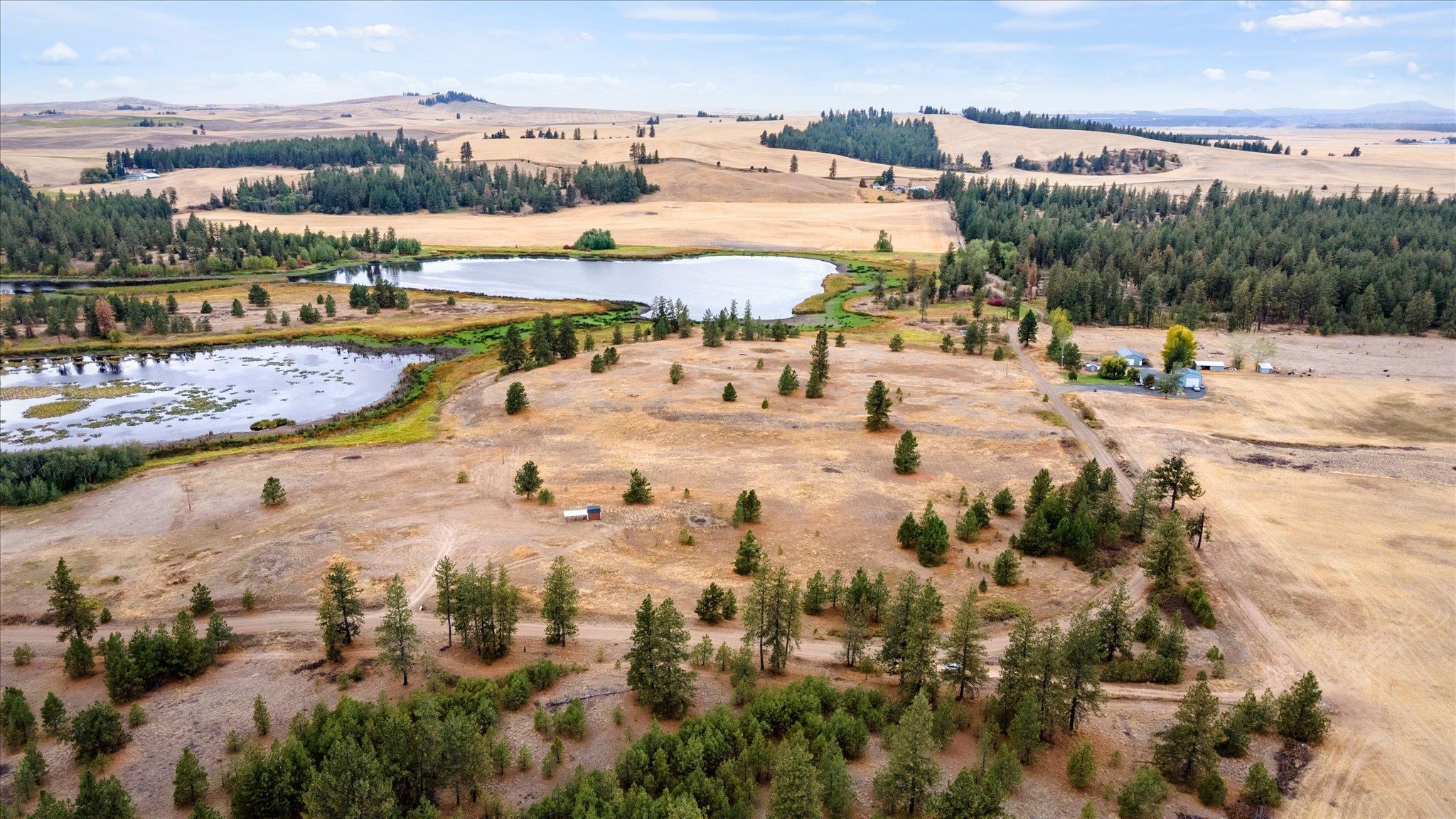 24801 West Kitt Road Reardan, WA 99029 - Photo 5 of 25 Gallery Image 5