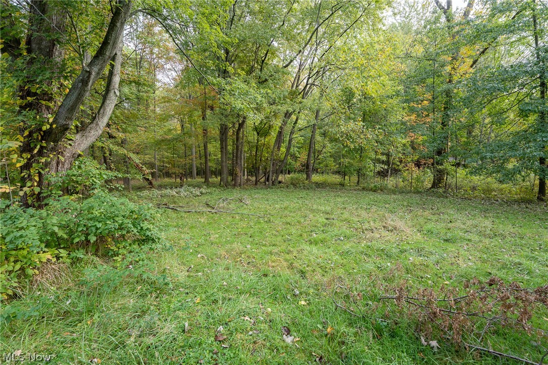 5317 Barton Road North Ridgeville, OH 44039 - Photo 25 of 25 Gallery Image 25