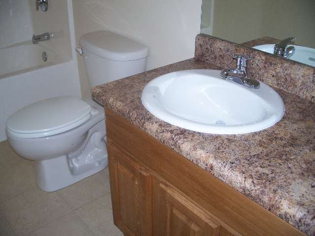 5 Catterick Way Fountain Inn, SC 29644 - Photo 8 of 8 Gallery Image 8